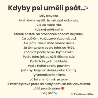 Kdyby psi uměli psát...🐾 #pomahamezitlepe #pes #psi #psizivot #psilaska