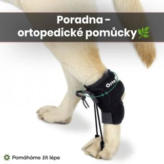 🦴 PORADNA - ortopedické pomůcky 🦴 Když pes začne jinak pokládat tlapku, nemusí to být pouhá maličkost. Možná si všimnete,...