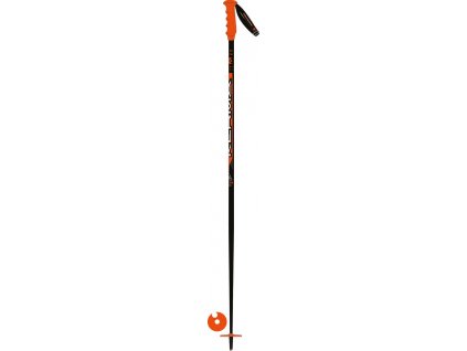 Dynastar Speed SL Jr-hole (2017)