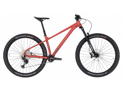 Horské kolo Pells Root 1 29" - šedé (Varianta M)