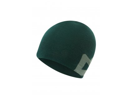 Čepice Mountain Equipment Branded Knitted Beanie Men's (Velikost Onesize, Barva Pine/Sage)