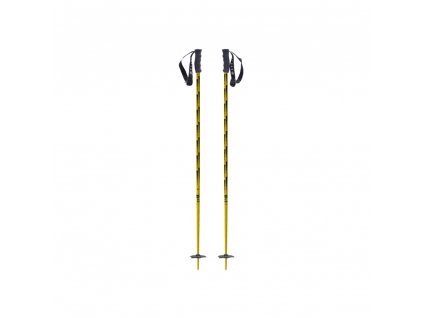 Hole Black Crows Firmo (Velikost 110 cm, Barva Gold)