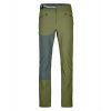 Pánské  Kalhoty Ortovox Brenta Pants Men's (Velikost M, Barva Black Raven, Střih Regular)