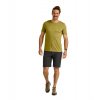 Pánské  Kraťasy Ortovox Brenta Shorts Men's