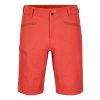 Pánské  Kraťasy Ortovox Pelmo Shorts Men's