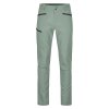 Pánské  Kalhoty Ortovox Pelmo Pants Men's (Velikost S, Barva Dark Wild Herbs)