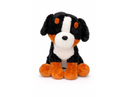 1779A795 CEA8 4777 B6EA 0CFD1DECB5A0