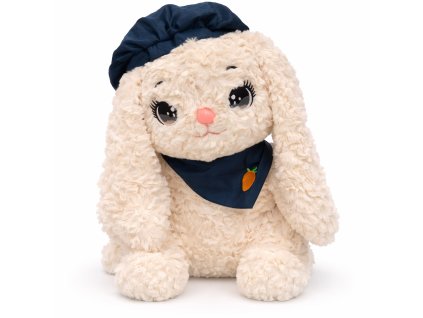 9DFFAB5B 72F5 4244 B2AE 3C87B000CBF3