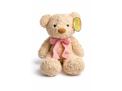 1A1387D1 EE50 4E37 99DF 952D92C65617