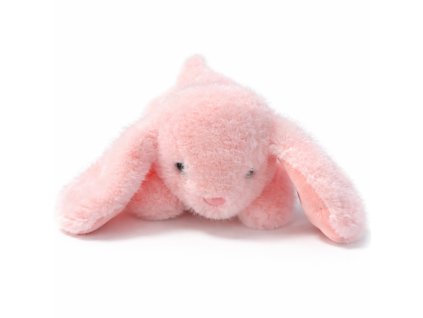 1DD42487 2D00 4B98 9E56 EF3992D10AF9