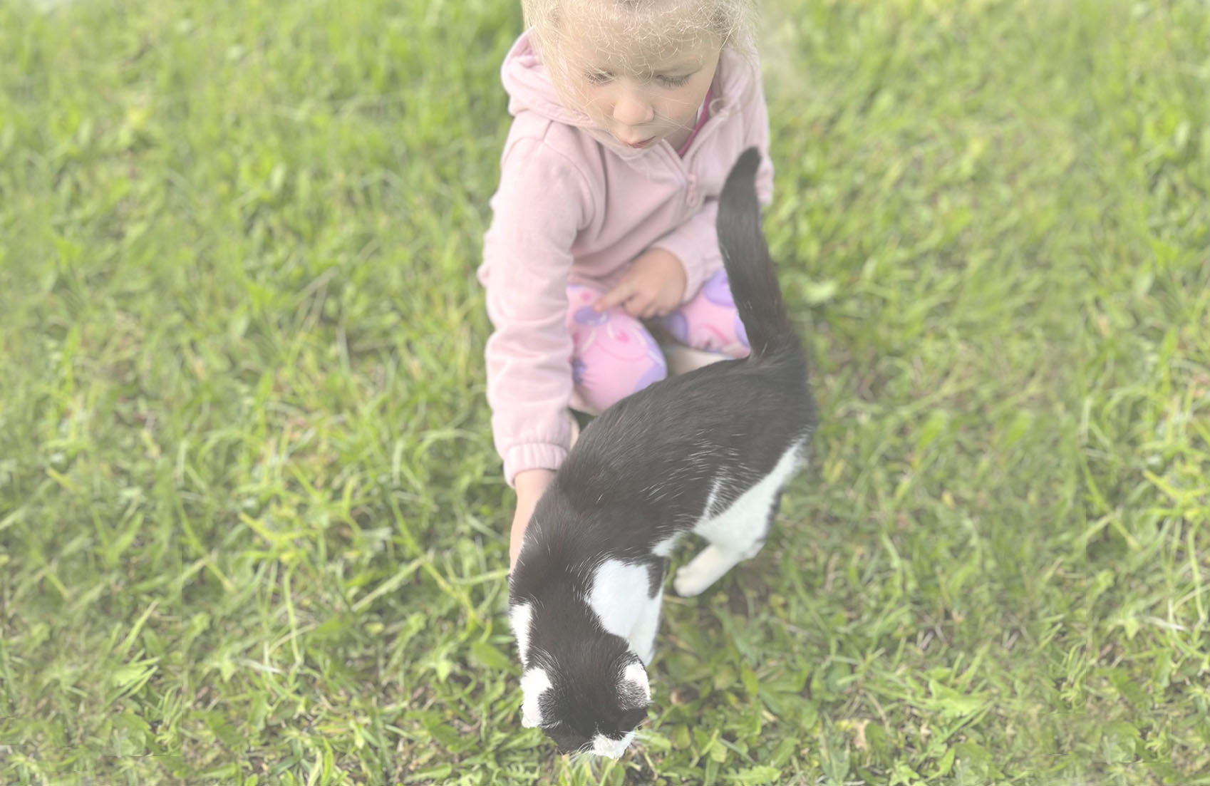 Jak vybrat odolné a pohodlné polstry pro domácnost s dětmi a mazlíčky