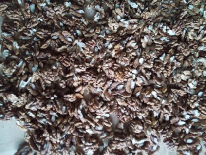 Domácí loupané vlašské ořechy 0,25 kg