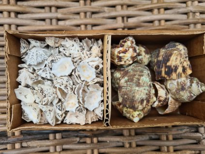 274963356 296093859127663 5720267851940017832 n