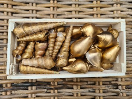 273906821 671140917667942 5613851726794715182 n