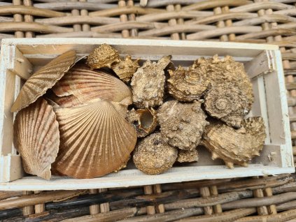 275009027 689767122203826 1016966307074944769 n