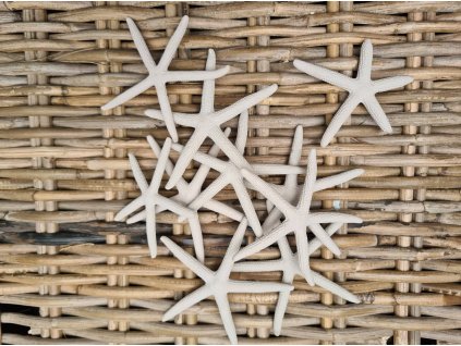 275170445 1030694797793571 8744463951710161676 n