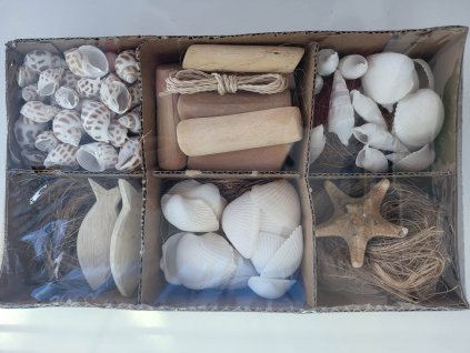 336618703 1241946896422617 6723085553470257053 n