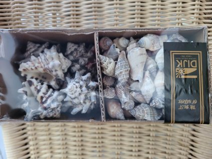 336646077 188425513902793 8063603995699099028 n