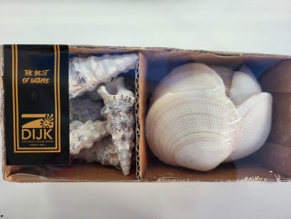 336616212 755406712821744 9175469126099564722 n