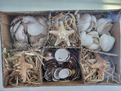 336582408 912734826443360 8737837360567102851 n