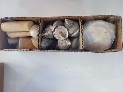 336616474 174700102016629 7525906121058337420 n