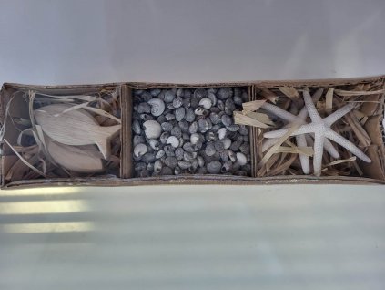 336658013 1181131259259562 3415911563533744353 n