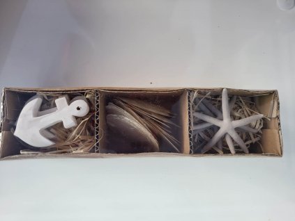 336599549 702866768204991 3666265372795298202 n