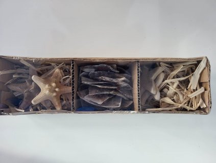 337351508 1351373285712027 1302732445220147787 n