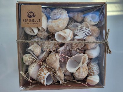 336619153 252912803735484 7853153023808708500 n