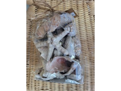 336536660 1333259933883760 8635180654790878870 n