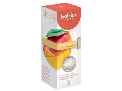 BOLSIUS AROMATIC 2.0 DIFFUSER 45 ML, MANGO