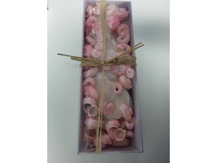 370282042 1569495263854962 2877100655616035203 n