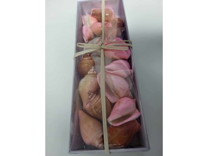 370064917 1302177747168216 9019105015071744824 n