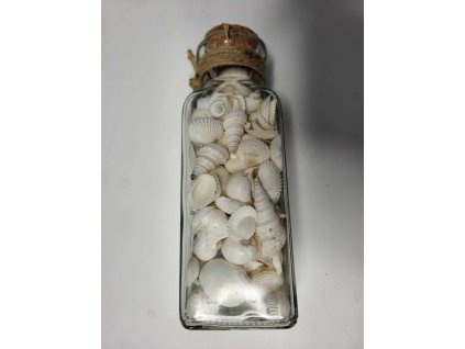 377290787 347838847784320 2281541591922117716 n