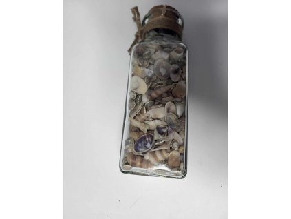 370158741 1040555070420612 6654740839529058070 n