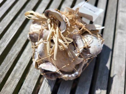 1f263ef5 3b42 41ce ba55 ed100fb464da