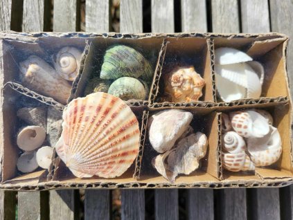 efb3c4e8 7776 4fb6 bc3b 04a0aefb7980