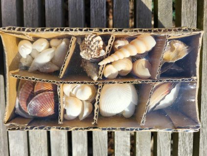 4ce0b6fa dfde 4826 9b1d 04b6934c2c1d