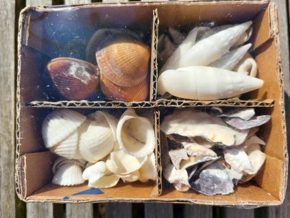 8556616a 2b6d 45e5 9b79 d2c2e608d0ac