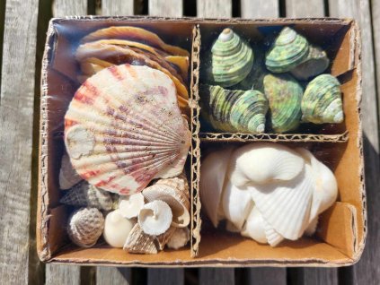 0dec272f 1723 4e68 9a77 93cff1bd873b