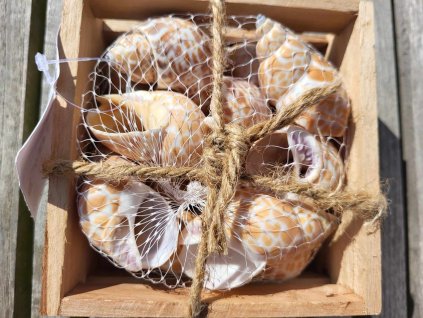 958fd11c c3f3 4326 a370 026e9f18db03