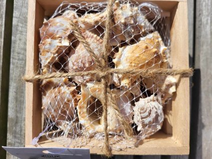 f8a3edaa 1a2c 4d0f aea6 79186b53f9f0