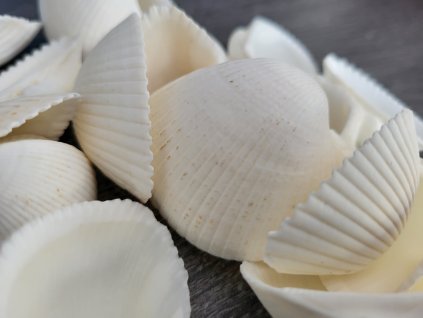 02cc719c afe7 471e 8c54 09f0d232f55a