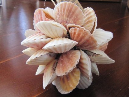 0011356 koule z hrebenatky ruzova