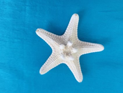 bb0745d0 201d 481a a98d 531a66a95ec4