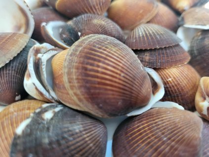 3cae2c15 8cc4 4cab 99a0 316f898255f9