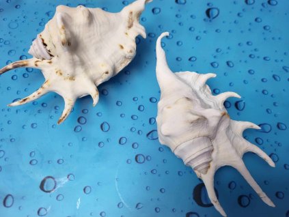 396747514 1959418971095566 6073021061187257572 n