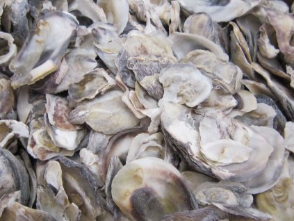 0009857 musle oyster ustrice 850 g