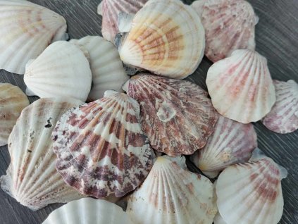 92e86258 4f16 4ee7 a1fb 91518da7aa45