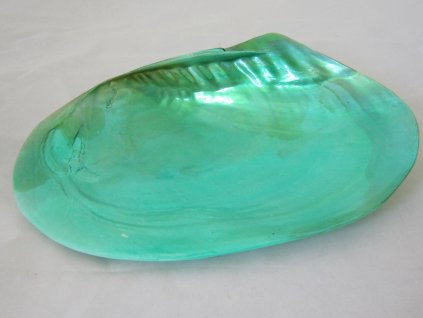 0010370 musle sladkovodni tyrkysova zelena